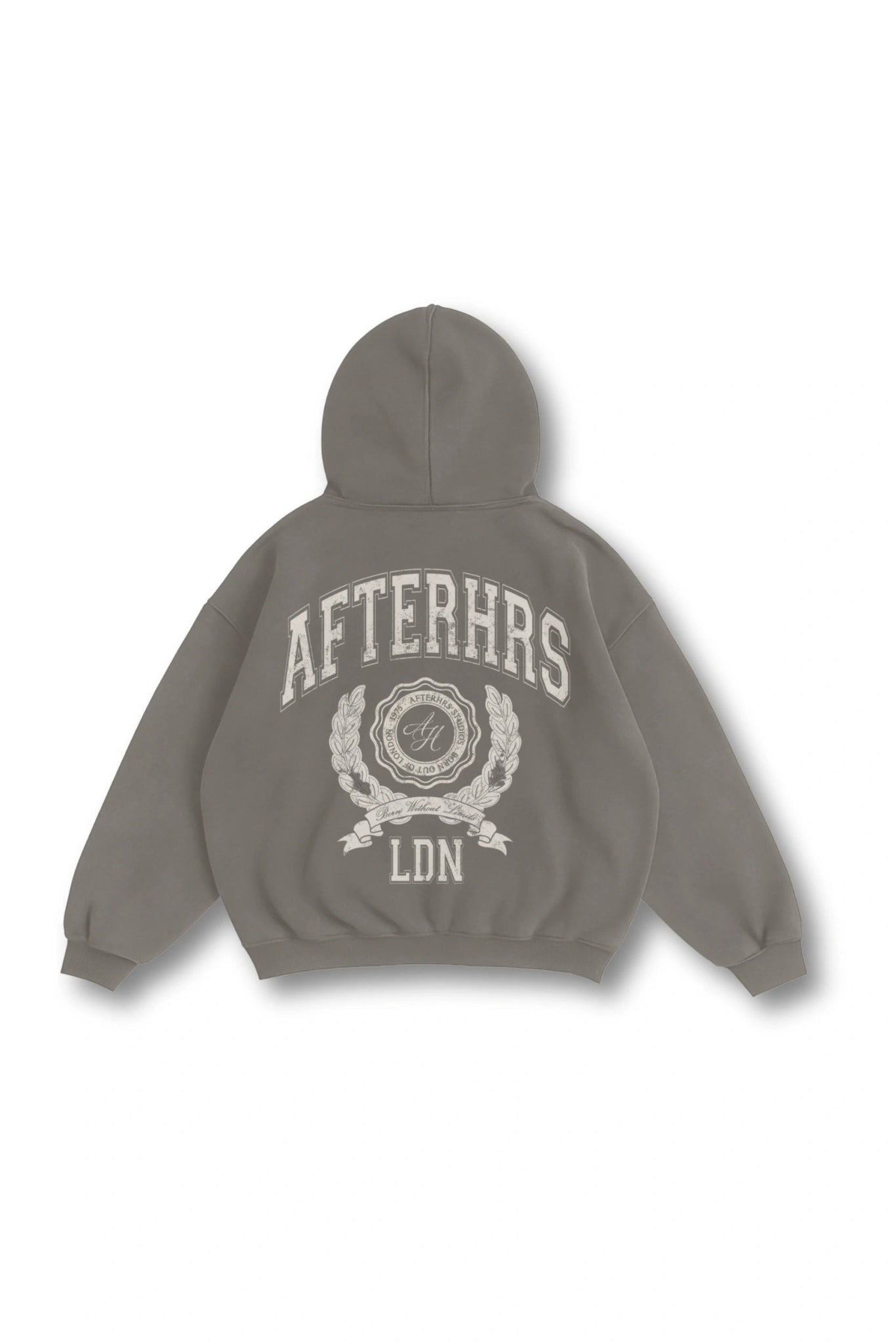 Arch Crest Faded Hoodie