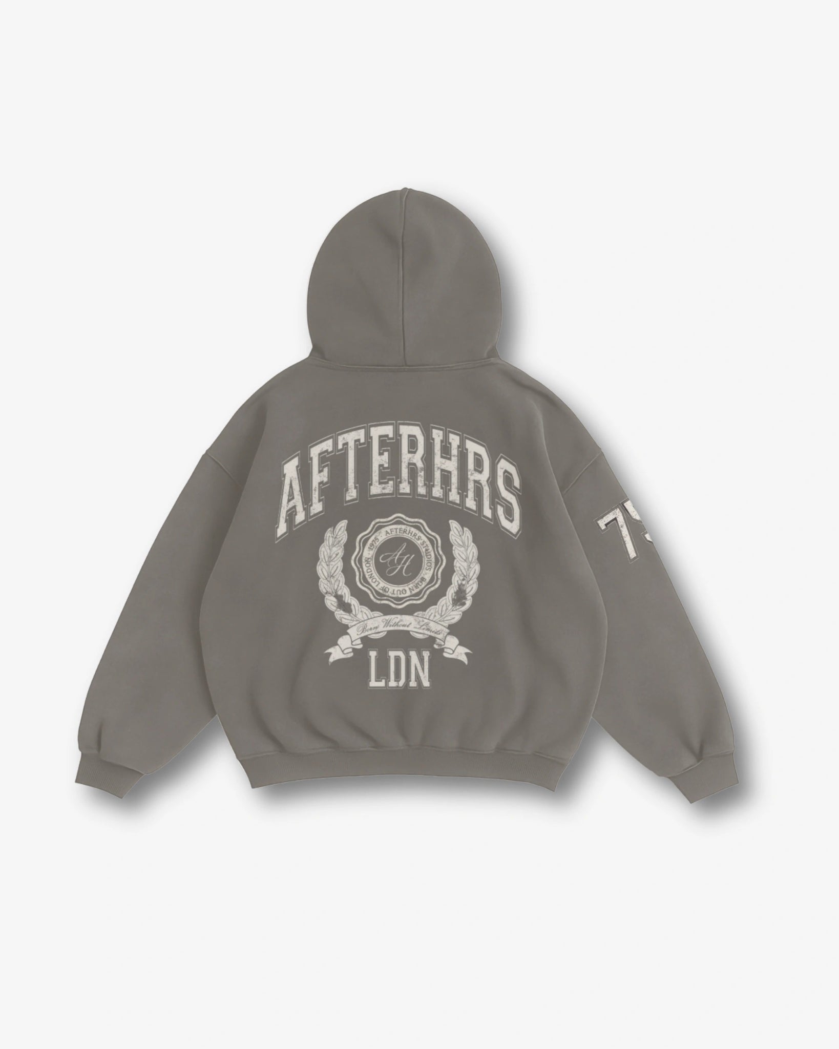Arch Crest Faded Hoodie